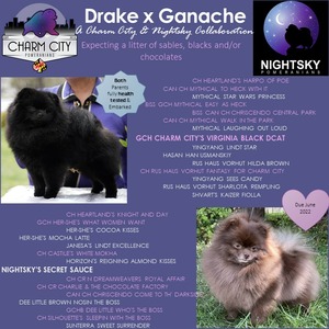 Drake x Ganache