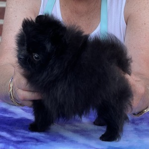 Charm City's Trust Issues