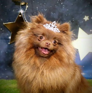 Charm City's Champagne Poetry CGC TKN NJP