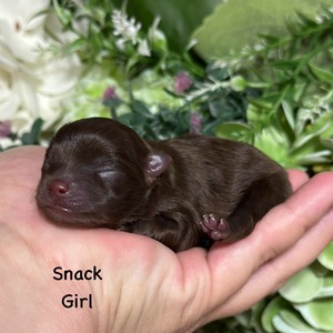 Charm City’s Sweet & Spicy (Snack)
