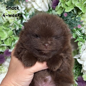 Charm City’s Sweet & Spicy (Snack)