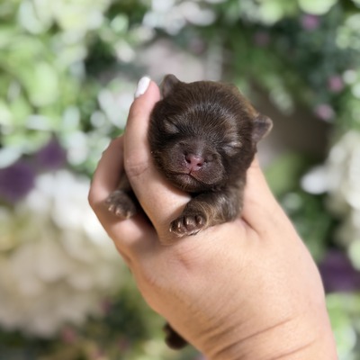 Charm City’s Paper Bond