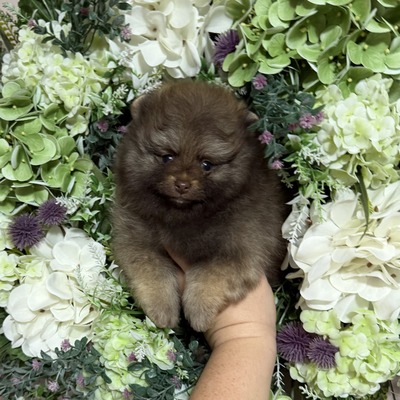 Charm City’s Paper Bond