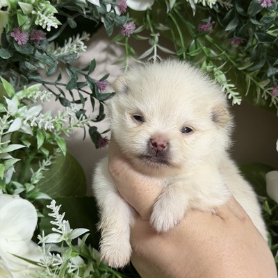 Charm City’s Holy Ghost