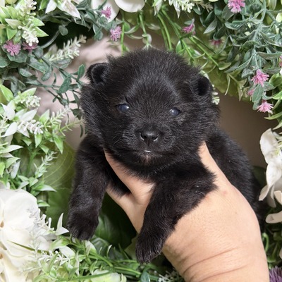 Charm City’s Midnight Mass