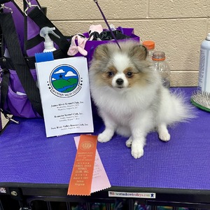 First Show